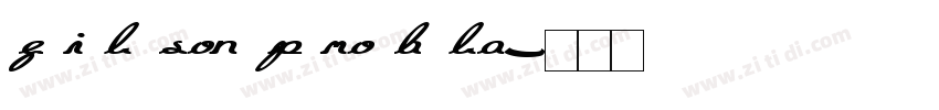 f i l son p ro b la字体转换
